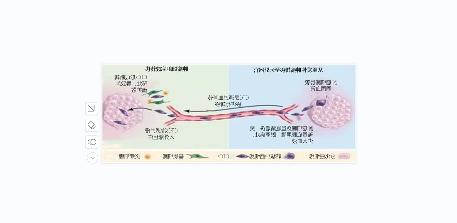 循环肿瘤细胞（十大博彩公司）简读